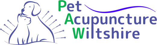 Pet Acupuncture Wiltshire
